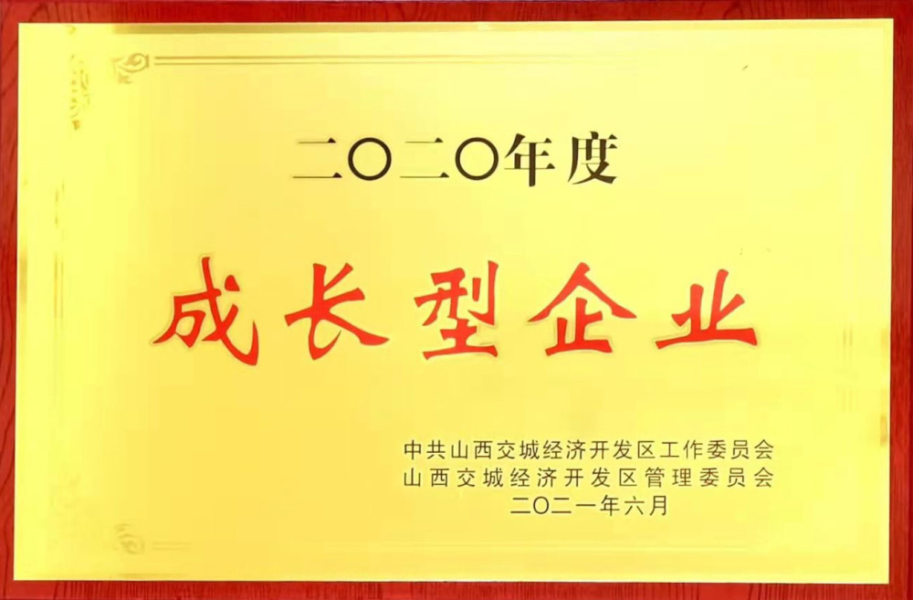 2020年度成長型企業(yè)